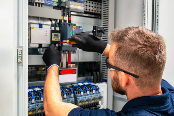 Best Electric Panel Repair  in Rosemount, OH